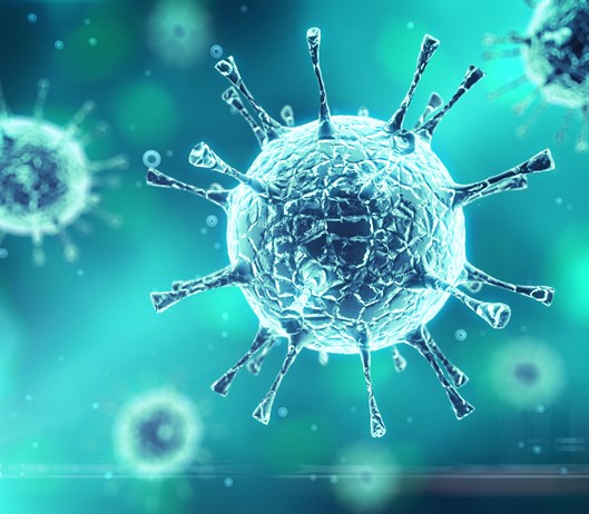 coronavirus.jpg